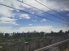 -宝安西湾红树林湿地公园