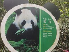 -深圳野生动物园