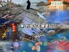 -烟台海昌鲸鲨海洋公园