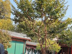 -宫事颐庭·老佛爷贵寿下午茶(颐和园店)