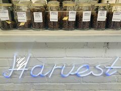 零售区-收获咖啡HARVEST RESERVE(苍山店)