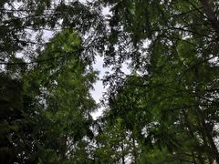 -苏州河梦清园环保主题公园