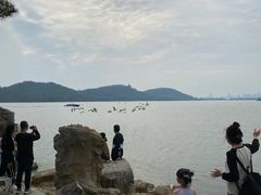 -东湖落雁景区