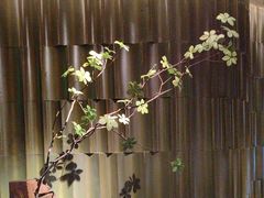 -隐溪茶馆(静安寺店)