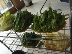 -蘑统田下·野生菌火锅