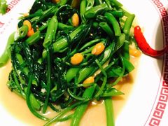 -中国城银都鱼翅酒楼