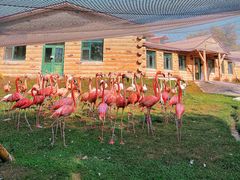 -哈尔滨北方森林动物园