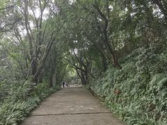 -西樵山风景名胜区-天湖公园