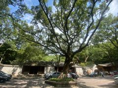 -宁波市保国寺古建筑博物馆