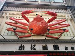 -蟹道乐(道顿堀本店)