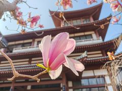 -横山寺