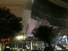 -新加坡柏薇罗切斯特酒店