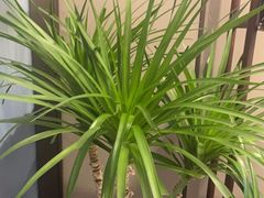 -宴昆山·私房菜(春晖店)