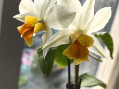 -漢舍川菜馆(国贸商城店)