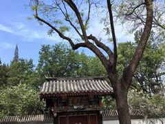 -宣武艺园