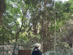 -东南悬空寺方广岩