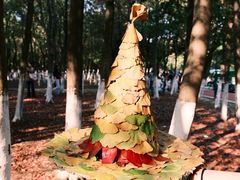 -艾溪湖湿地公园