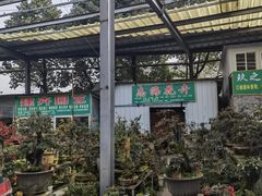 -金科花卉市场