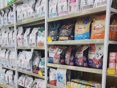 -瑞鹏宠物医院华南总院·夜诊·心脏科·骨科