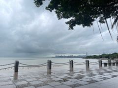 -深圳湾公园(南山区)