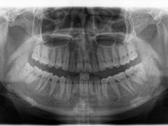 -新达口腔(华东理工大学店)