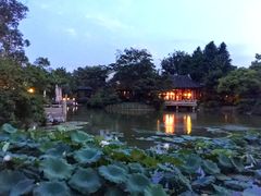 -杭州西子湖四季酒店-WL BISTRO西湖餐厅(灵隐路店)
