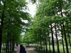 -上海市第一人民医院(松江南部)