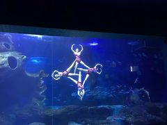 -多彩贵州城极地海洋世界