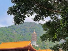 -深圳仙湖植物园