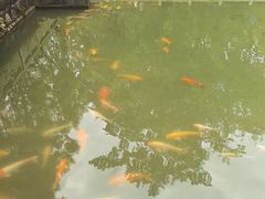 -中山市树木园