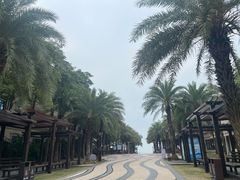 -马銮湾景区