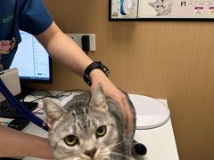 -瑞派康怡24h宠物医院·犬猫医疗中心·微创绝育(瑞景分院)
