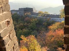 -荣德灶台鱼(圣泉寺店)