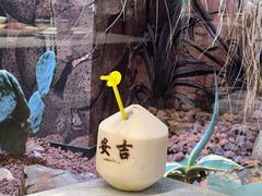 -老李家土菜馆·安吉地标美食