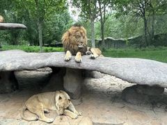 -北京野生动物园