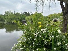 -无锡蠡湖国家湿地公园-蠡园
