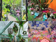 -正佳雨林生态植物园