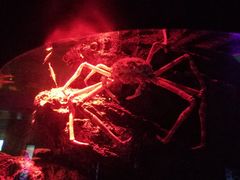 -暹罗海洋世界