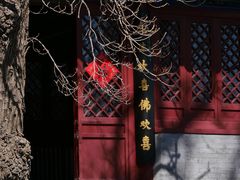 -北京凤凰岭