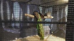 -酷嗒动物文化乐园(cutezoo西溪乐天城店)