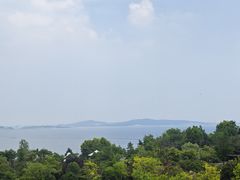 -星光岛