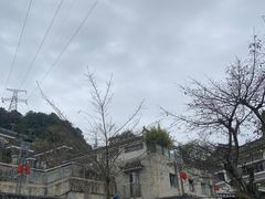 -老幺泉水鸡