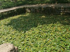 -无锡惠山寺