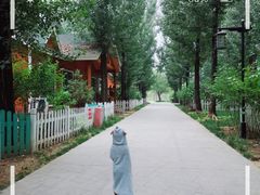 -林栖谷森林康养度假区