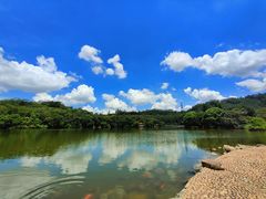 -深圳仙湖植物园