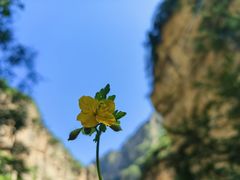 -龙门涧景区