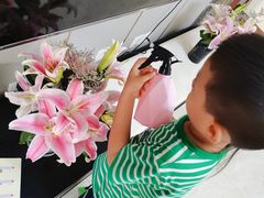 -沪花拾者(好再来花卉鲜花店)