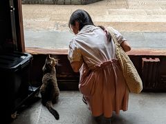 -龙华素斋(龙华路店)