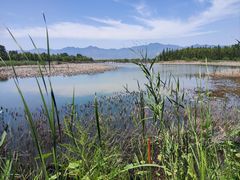 -野鸭湖国家湿地公园