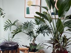 -dotcom coffee古点咖啡(致真大厦店)